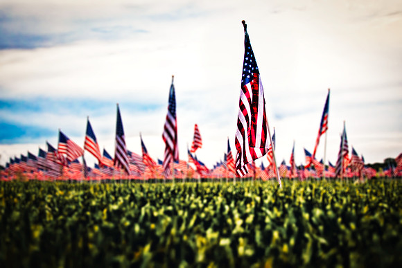 Memorial Day Flags-7 lens blur