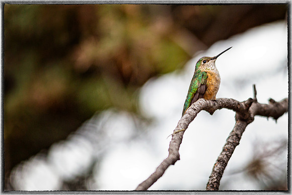 _MG_0025-Edit