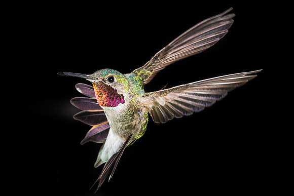 _MG_0086-Edit