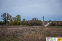 IMG_0038