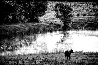 IMG_0014-Edit