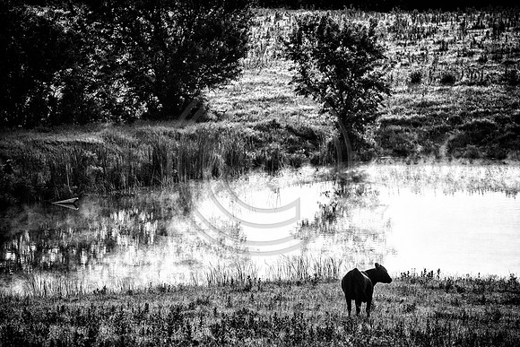 IMG_0014-Edit