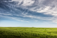 _MG_0050-Edit