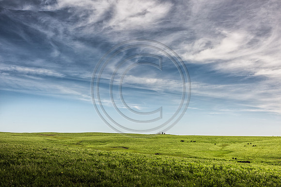 _MG_0050-Edit