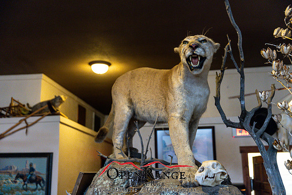 2021 Open Range Tour-144