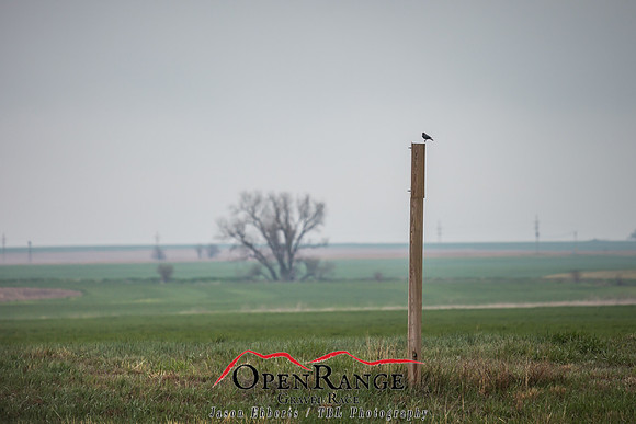 2021 Open Range Tour B-8