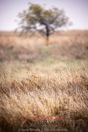 2021 Open Range Tour-102