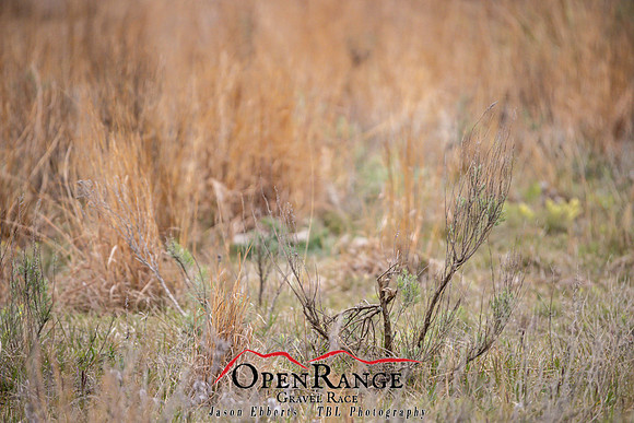 2021 Open Range Tour-162