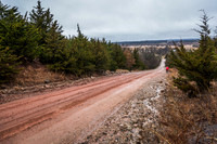 _MG_0018