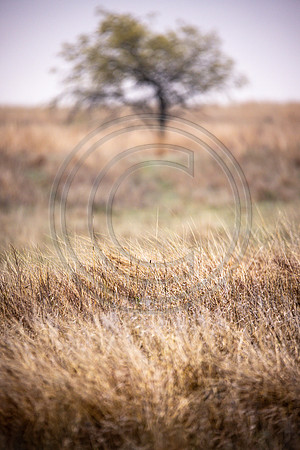 2021 Open Range-102