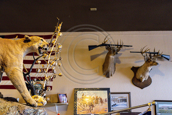 2021 Open Range-145