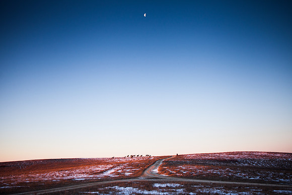 moon over the elk