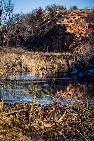 beaver dam in the horse thief at Kanopolis