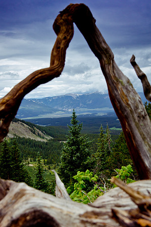 Cottonwood Pass (7 of 13)