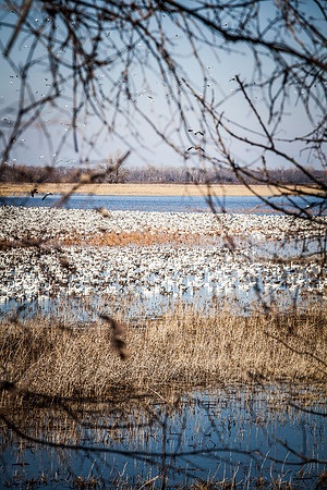 SQUAW CREEK 12