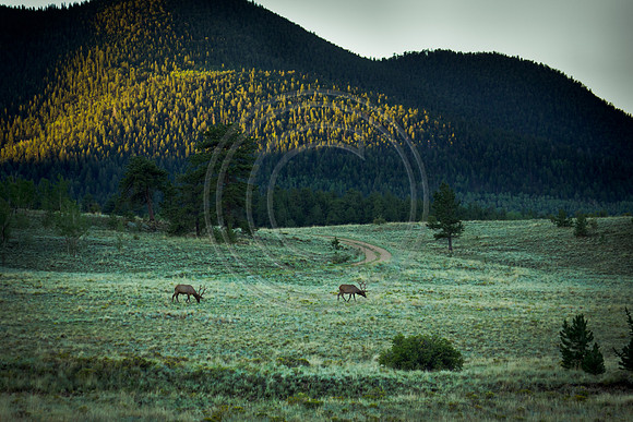 Wilkerson Pass (6 of 8)