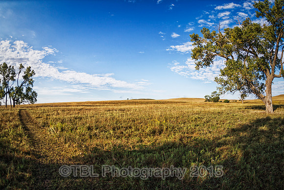 IMG_0218-Edit