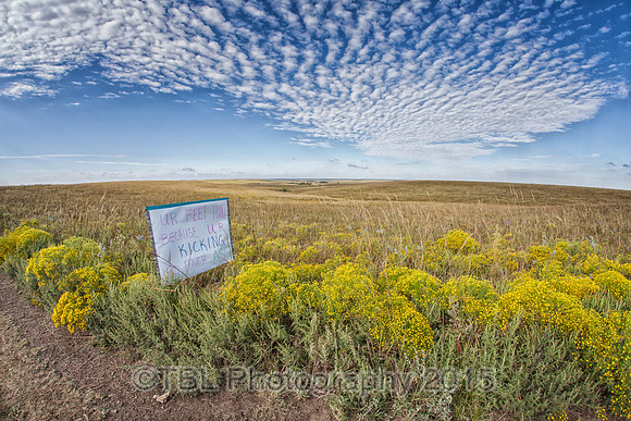 IMG_0247-Edit-Edit