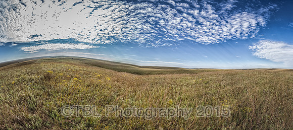 IMG_0270-Pano-Edit