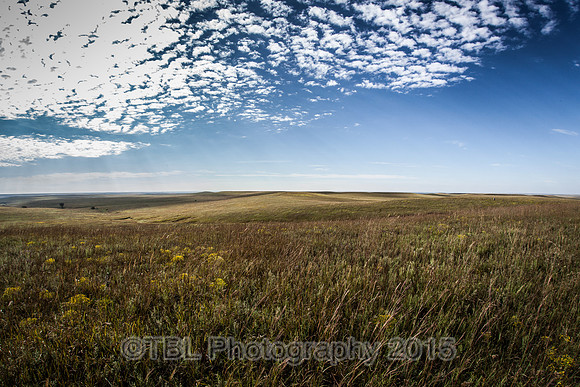 IMG_0314