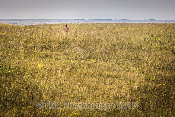 IMG_0317-2