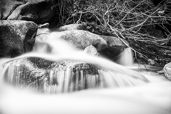 591A0168-Edit