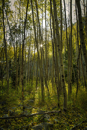 591A0028_29_30