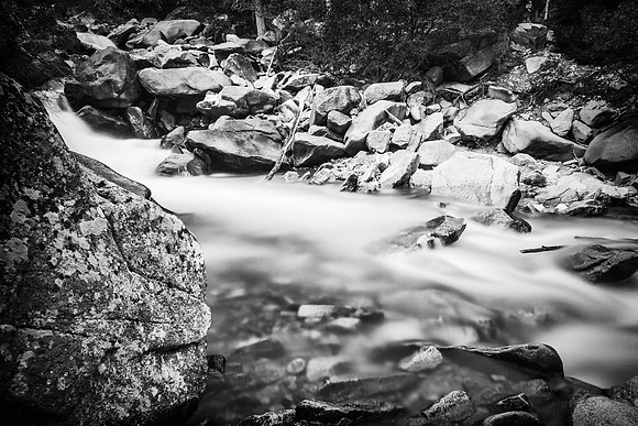591A0009-Edit-Edit
