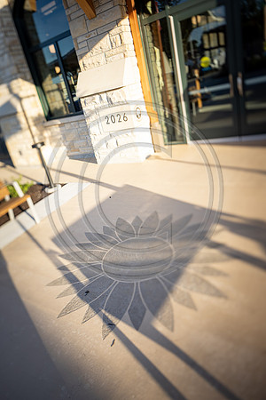 _23A3166