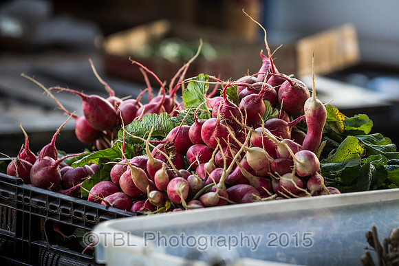 IMG_0002-2