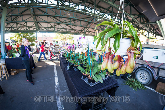 IMG_0006