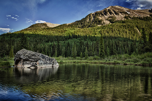 Stage Coach Road Beaver Pond