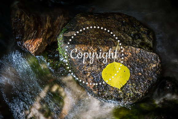 Brown’s Creek Falls