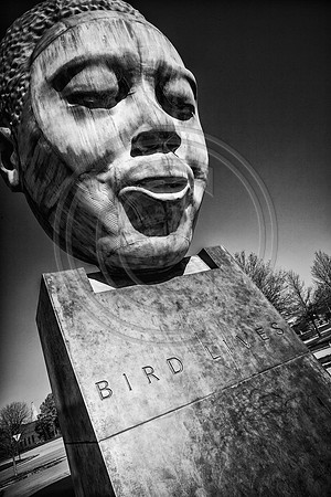 bird lives b-w