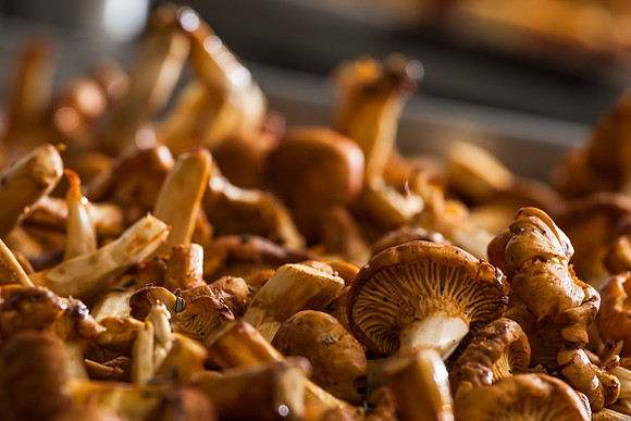 Kusshi pop-up at Broadmoor Bistro