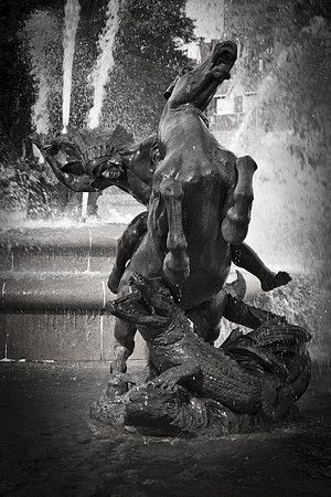 JC Nichols - Aligator B/W