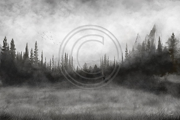 Untitled_Artwork(3)