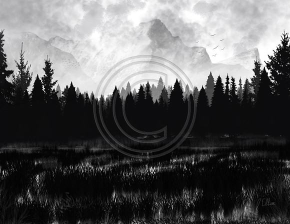 Untitled_Artwork