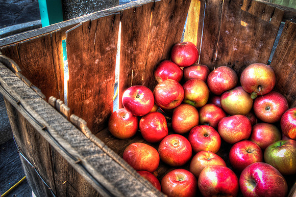 farmers market-42_3_4