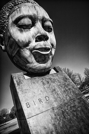 bird lives b-w