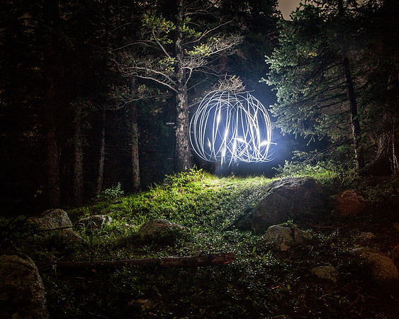 Lights in the dark timber