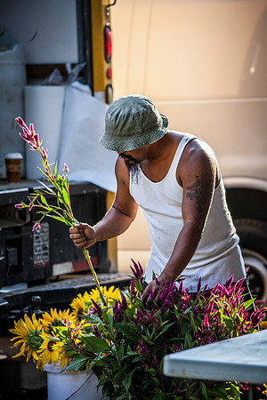 2013 08 14 farmers market-11