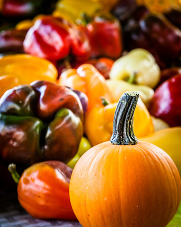 09042013 farmers mkt-3