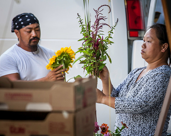 2013 07 31 farmers market-14