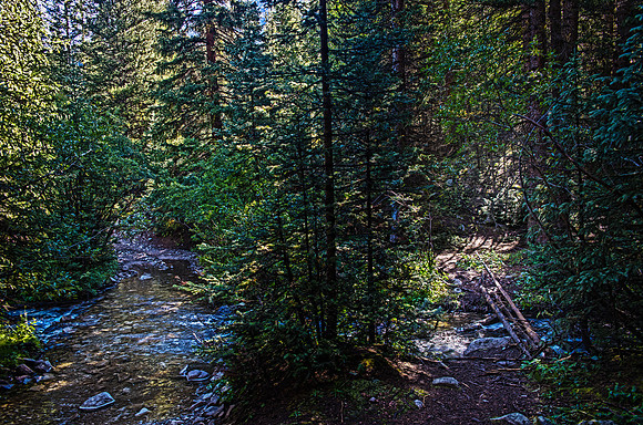 Which trail do you choose