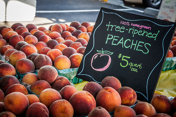 09042013 farmers mkt-10