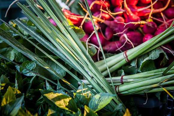 2013 08 28 farmers market-4