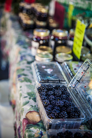 2013 08 28 farmers market-15