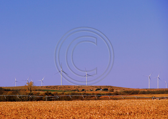 wind and grain
