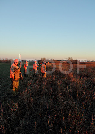 Concordia pheasant hunting